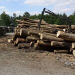 Camion de bois ultra sec en grume – Hêtre, Chêne, Charme – 30 stères