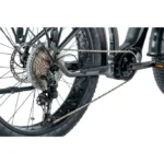 Leader Fox BRASA – Image 6