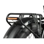 Leader Fox Cody – Image 2