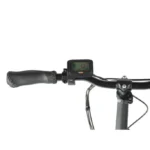 Leader Fox Cody – Image 5