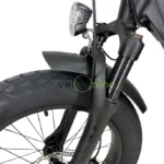 Lombardo Aurelia – Image 2