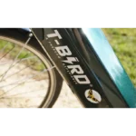 T-Bird Carmel S – Image 8