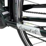 T-Bird Carmel S – Image 7