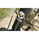 T-Bird Carmel S – Image 5