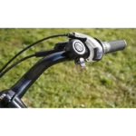 T-Bird Carmel S – Image 4