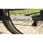 T-Bird Carmel S – Image 3