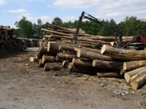 Camion de bois ultra sec en grume – Hêtre, Chêne, Charme – 30 stères