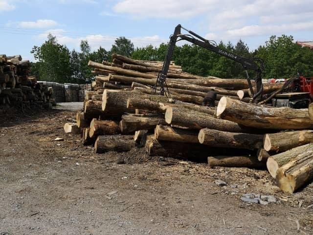 Camion de bois ultra sec en grume – Hêtre, Chêne, Charme – 30 stères